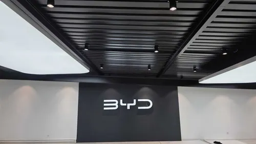 Pared decorativa BYD